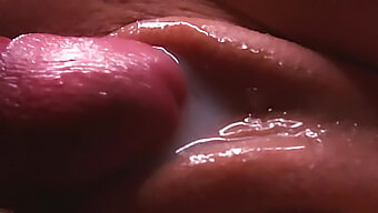 Hd Video Of A Young 18+ Girl'S Pussy And Cum