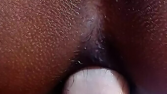 Amateur Black Couple'S Anal And Pussy Porn Video