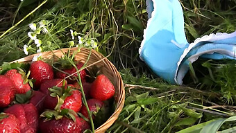 Buitenspelen: Close-Up Van Een Aardbeienkutje