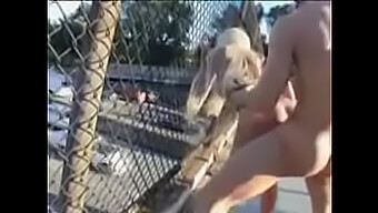 Public Fucking With A Big Tit Blonde