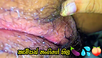 Freshman Gets A Close Up Of Big Ass And Clit In Sri Lankan Condom Video