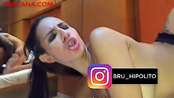 أسود: كس صفدة يصبح فوضويًا