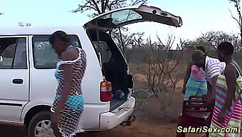 African Safari: Sexy Blowjob En Trio Plezier