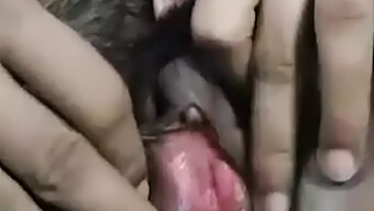 18+ ভারতীয় কিশোরী মেয়ের একক হস্তমৈথুন সেশন।